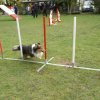 agility 2011-10-30